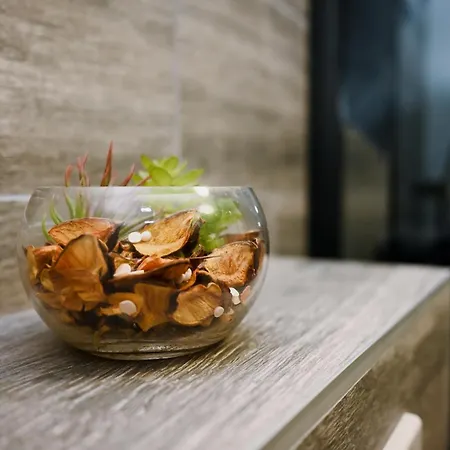 Modern Moment * Brcko